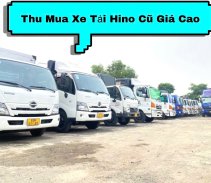 Thu Mua Xe Tải Hino Cũ Giá Cao Định Giá Miễn Phí 